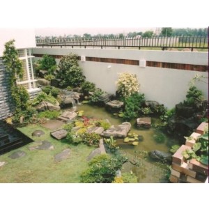 Thiết kế tiểu cảnh sân vườn TKTC22